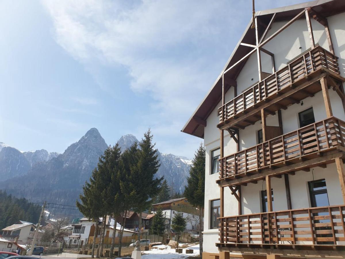 Vila Panoramic Busteni Exterior photo