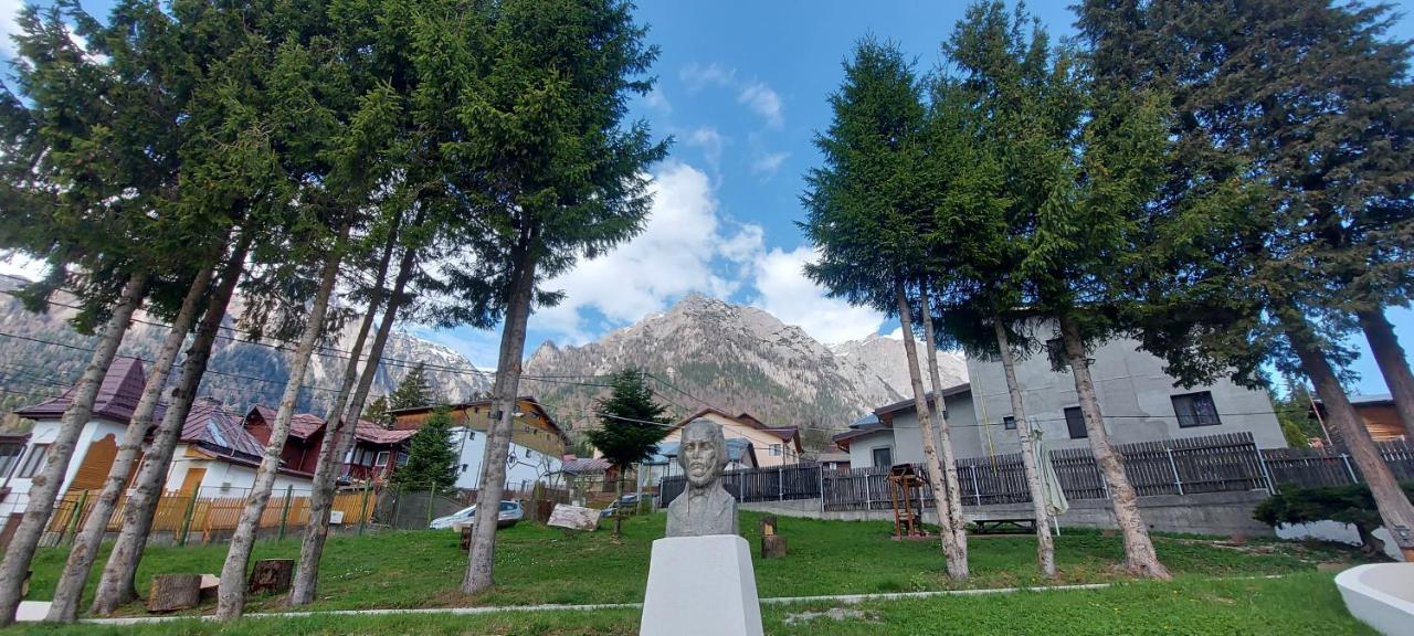 Vila Panoramic Busteni Exterior photo