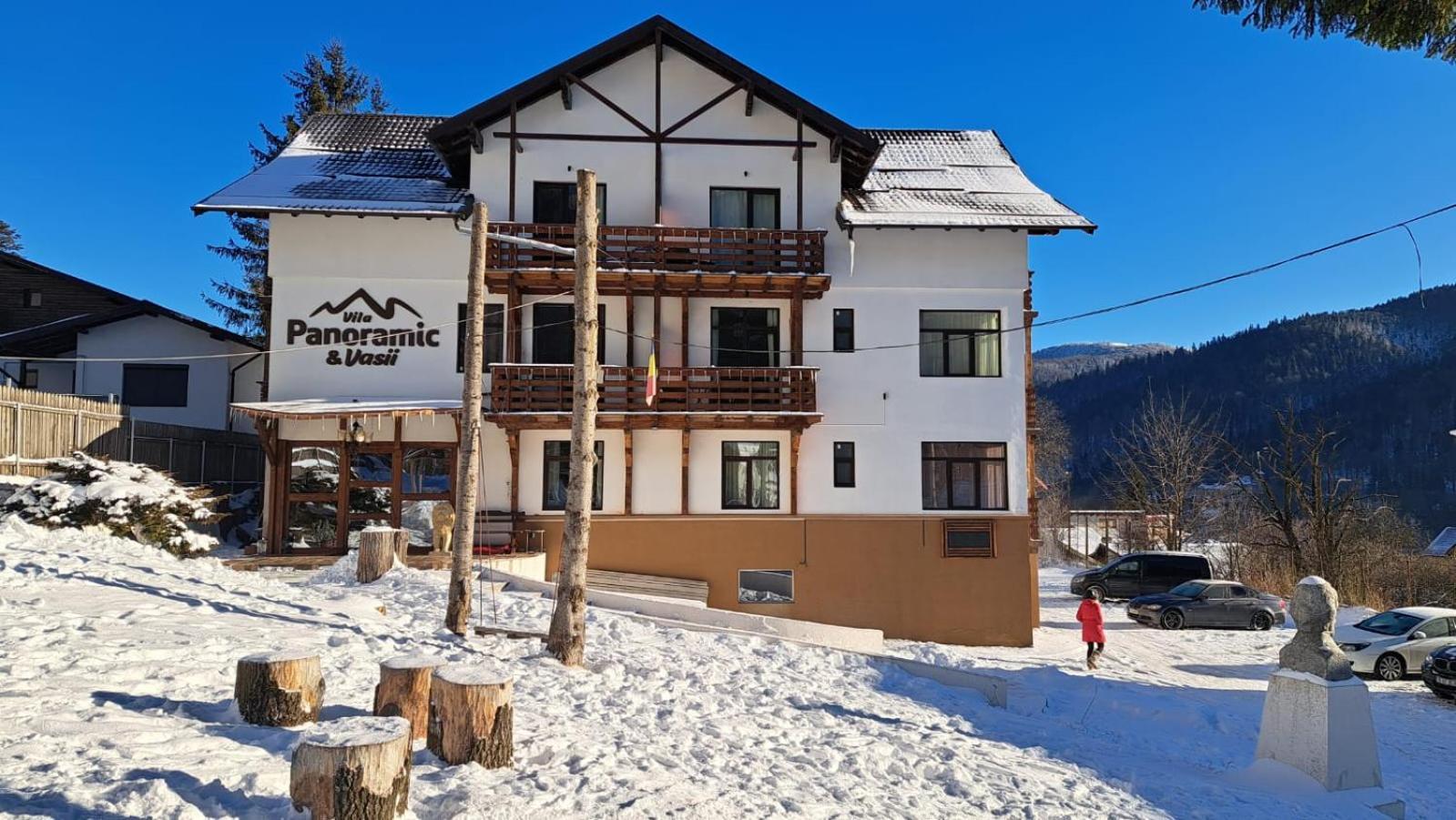 Vila Panoramic Busteni Exterior photo