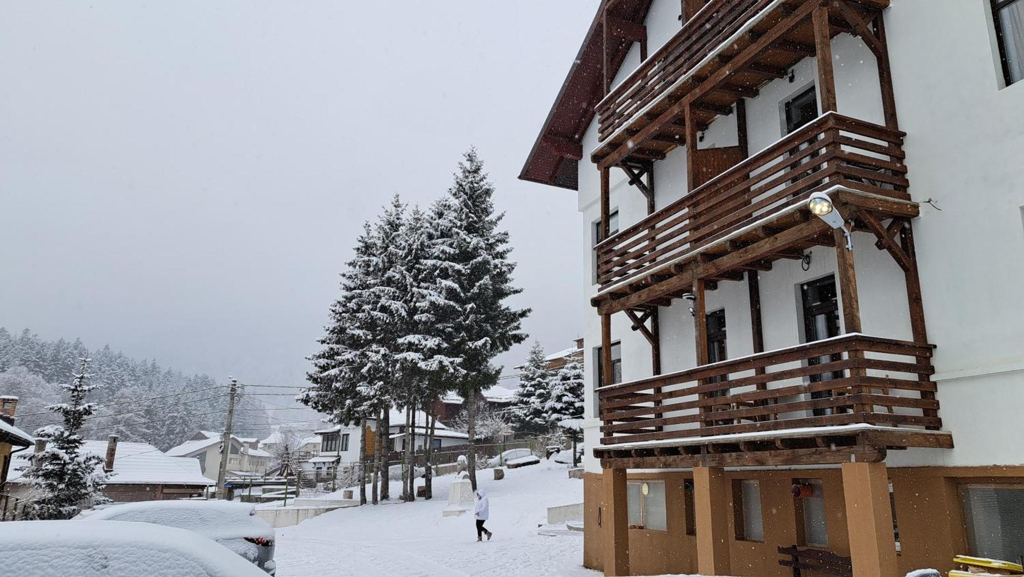 Vila Panoramic Busteni Exterior photo